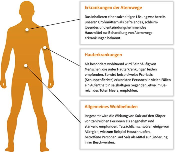 Erkrankungen